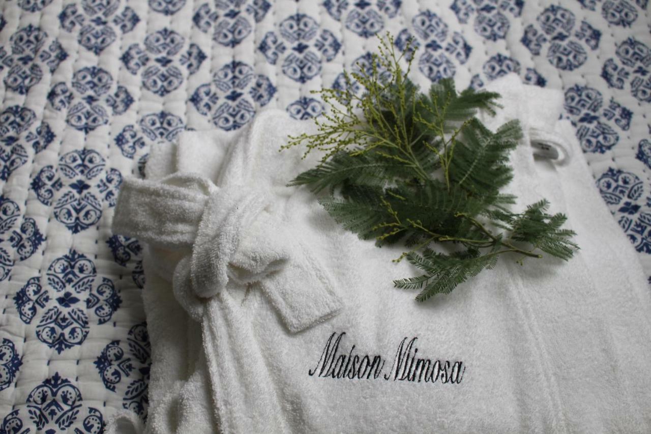 Maison Mimosa Nevez Luaran gambar